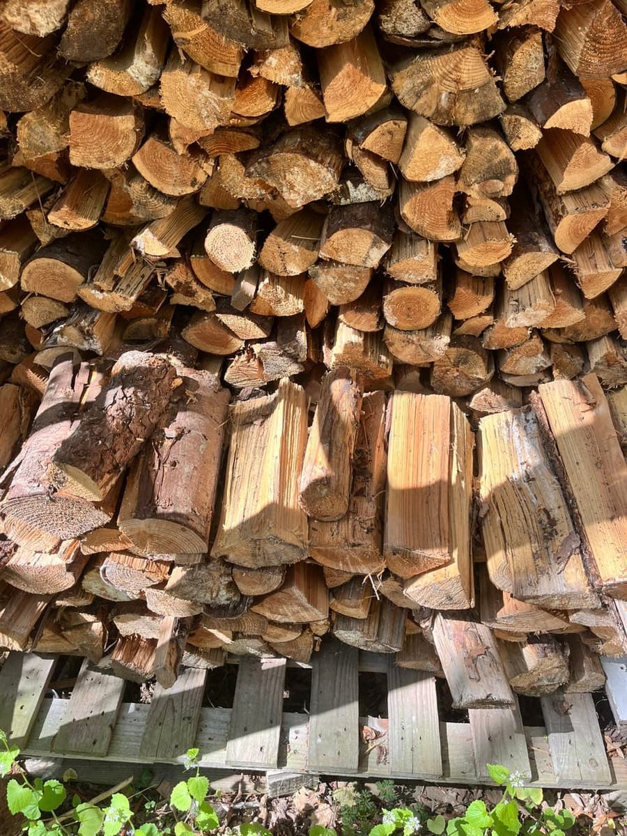 Haardhout van D. — foto 1