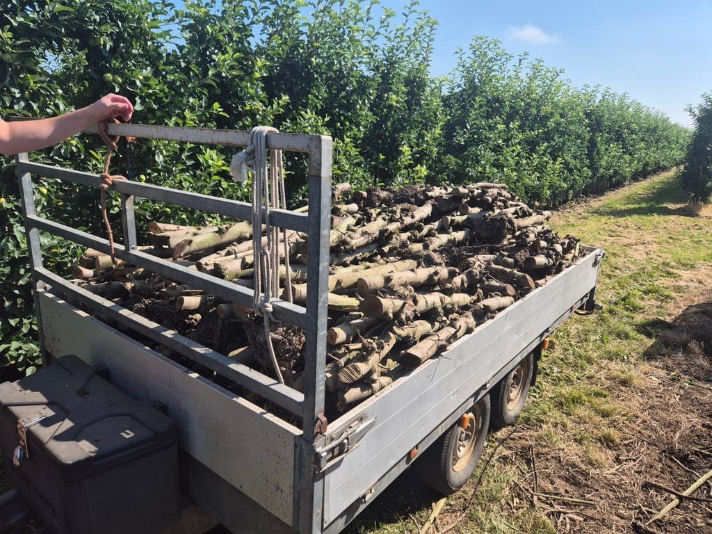 Haardhout van games — foto 2