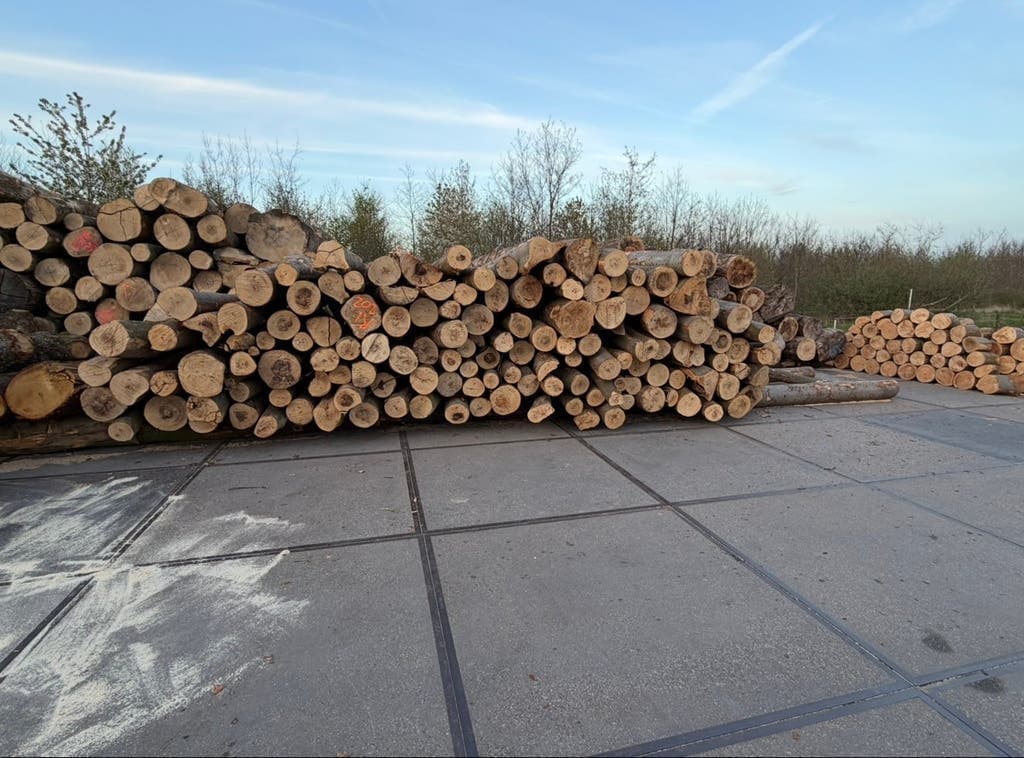 Haardhout van Haardhout Hofland — foto 2