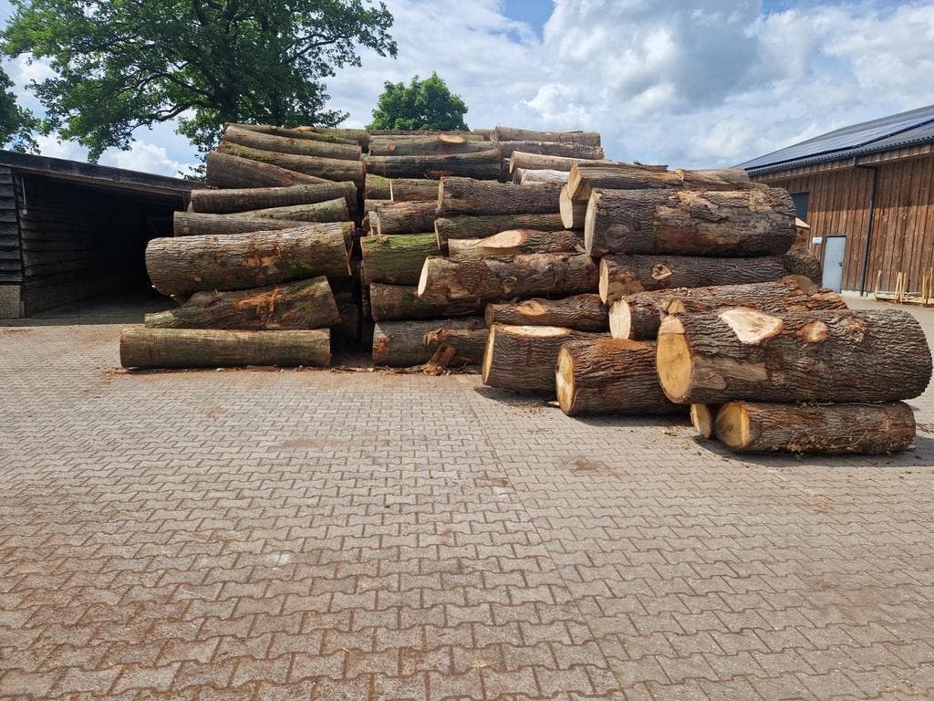 Haardhout van Handelsonderneming Hoiting — foto 3