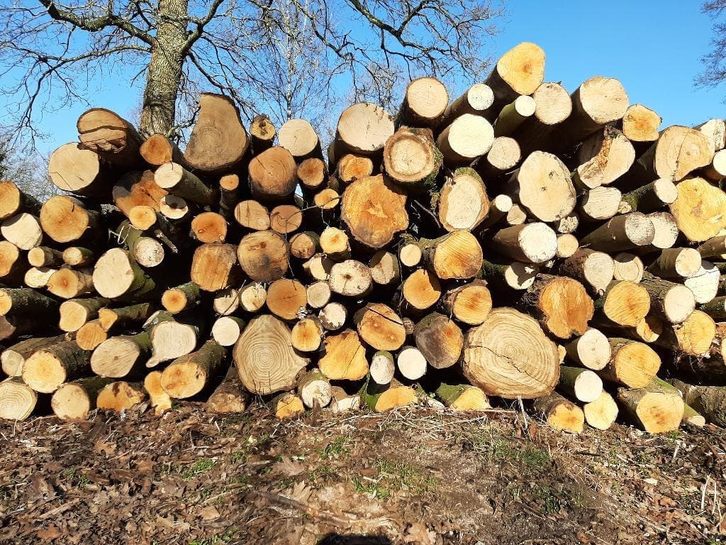 Haardhout van Harco. — foto 1