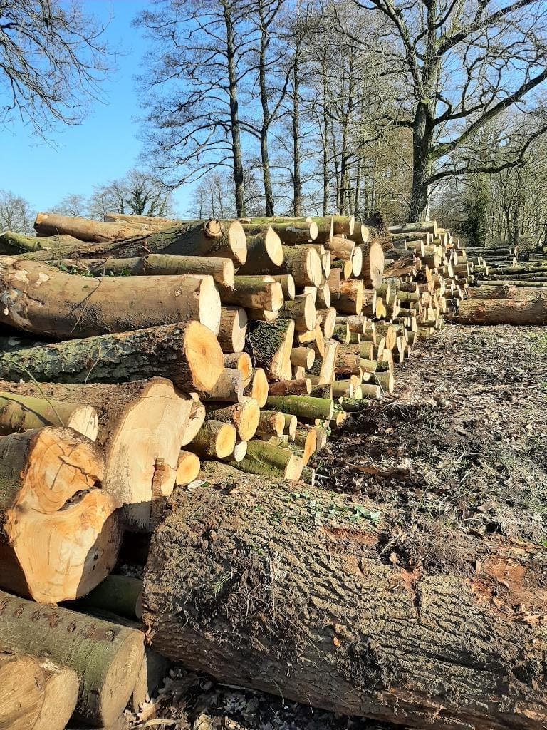 Haardhout van Harco. — foto 2