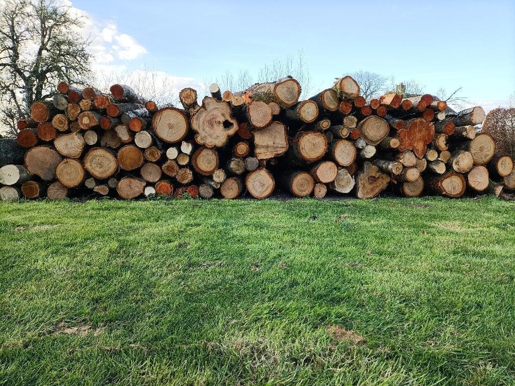 Haardhout van Harco. — foto 4