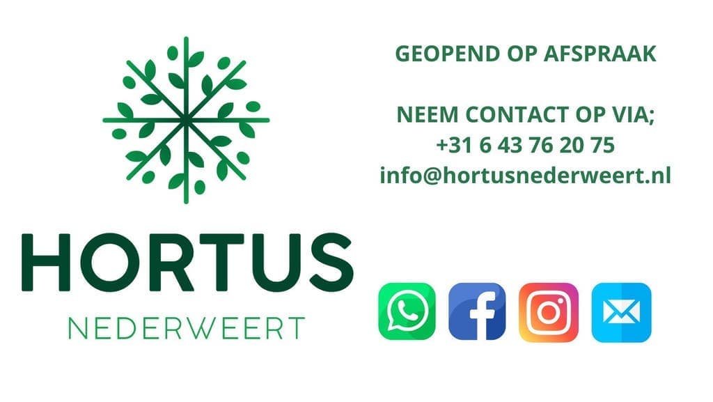 Haardhout van Hortus Nederweert — foto 4
