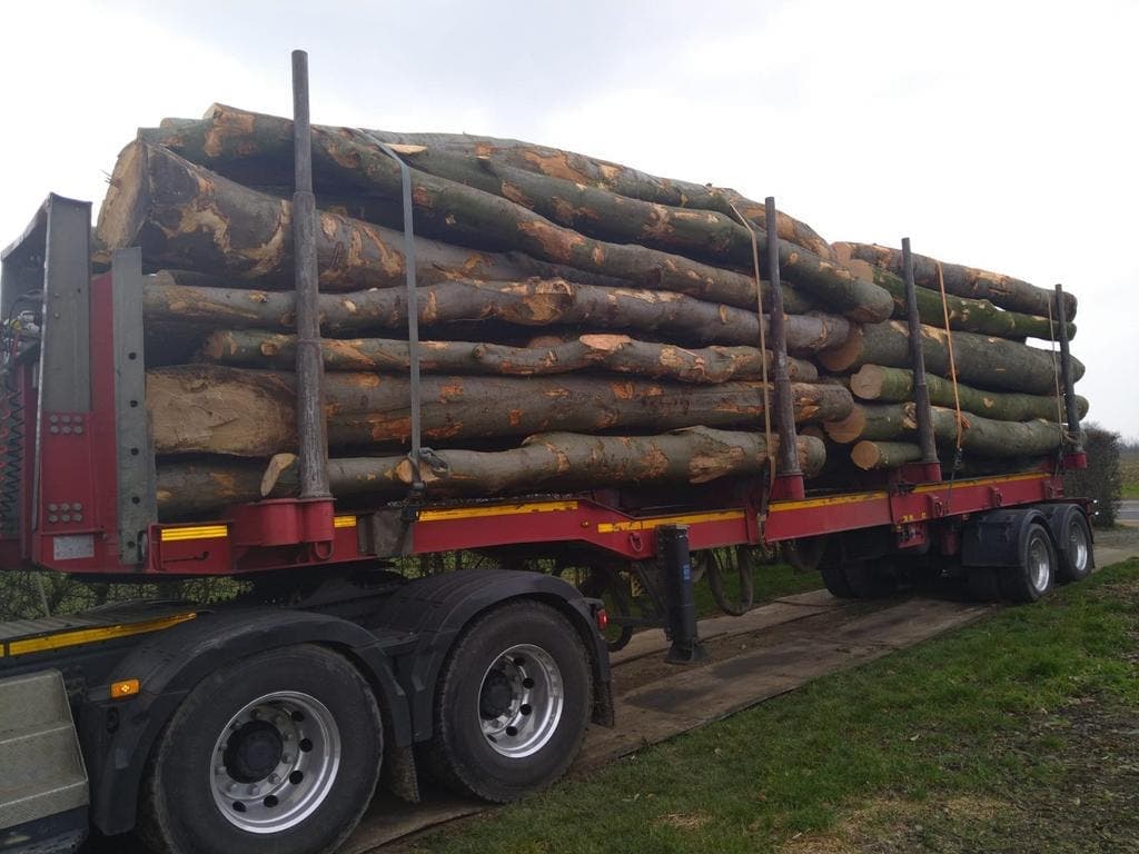 Haardhout van m3 Hout — foto 4
