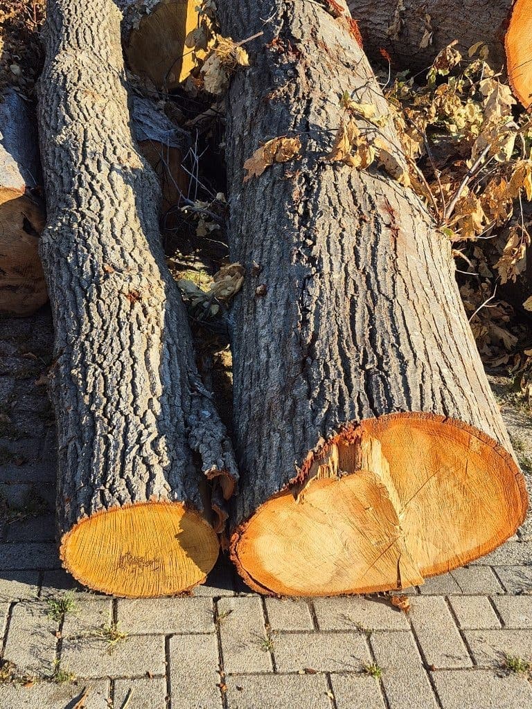 Haardhout van markteraa84 — foto 2