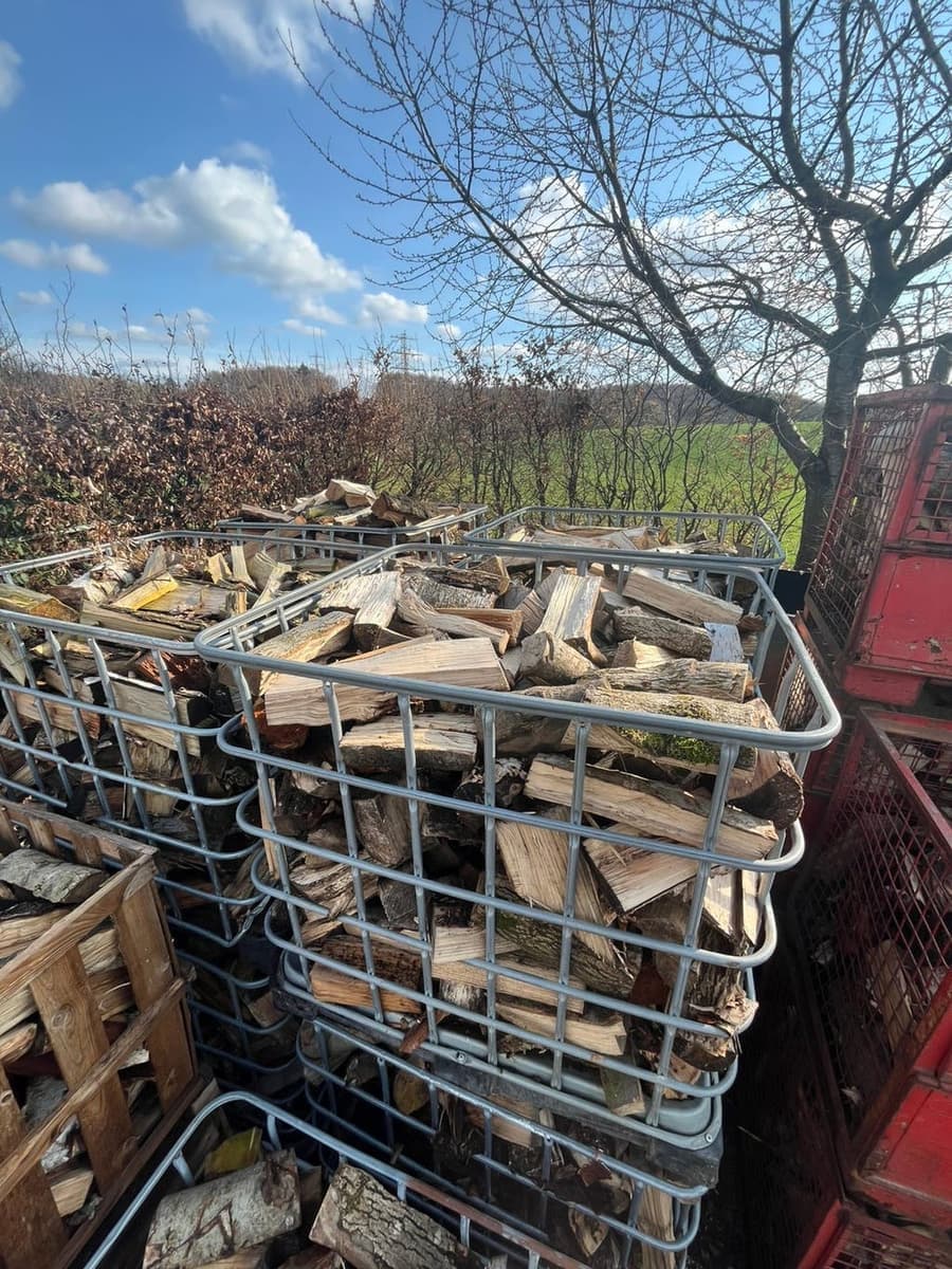Haardhout van Ruben P — foto 1